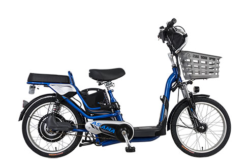 Xe đạp điện ASAMA EBK RY2001